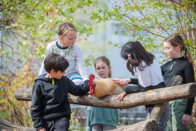 01-Kahlhorstschule-Rund-ums-Schulgelände-Galerie-07